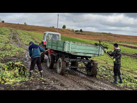 Happy Life of a Large Family in the Mountains