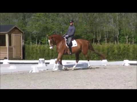 For sale Girlpower v. Kimberly