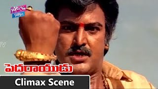 Download lagu Pedarayudu Movie Climax Fight Scene | Mohan Babu | Soundarya | Bhanupriya | YOYO Cine Talkies mp3 Download lagu Pedarayudu Movie Climax Fight Scene | Mohan Babu | Soundarya | Bhanupriya | YOYO Cine Talkies mp3
