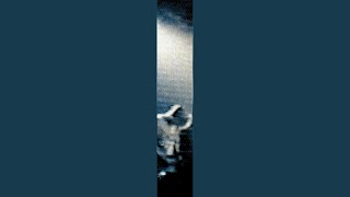 Music video thumbnail preview for Vautours by Les Wampas