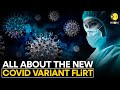 Should you be concerned about the new COVID-19 variant FLiRT? | WION Originals