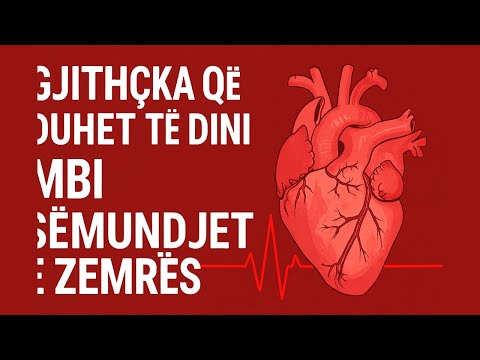 Gjithçka Që Duhet të Dini Mbi Sëmundjet e Zemrës | Shenjat, Shkaqet dhe Parandalimi ❤️