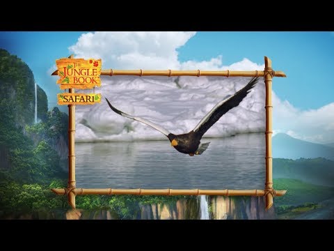 The Jungle Book Safari - Episode 12 - Roaring