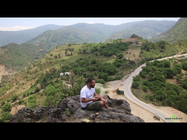 Завари мне чая, друг! Любовь к завариванию и чайное служение.