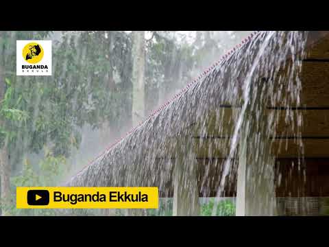 Okuloota Enkuba Eye Mirembe Nga Etonnya - Ebirooto Namakulu Gaabyo - Buganda Ekkula