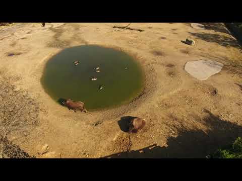 Prérie v Praze (Miroslav Bobek)