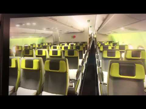 What Flying TAP Air Airbus A330 NEO To Portugal From Miami, and Back, is Like.