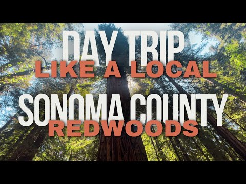 One of Your New Favorite Things To Do In Sonoma County! Day Trip to Armstrong Redwoods - Guerneville