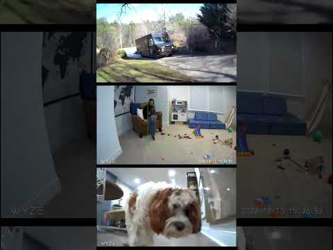 Have you seen how amazing Wyze Cam Pan v3 is? 🫨  #wyze #wyzecampanv3 #bestseller