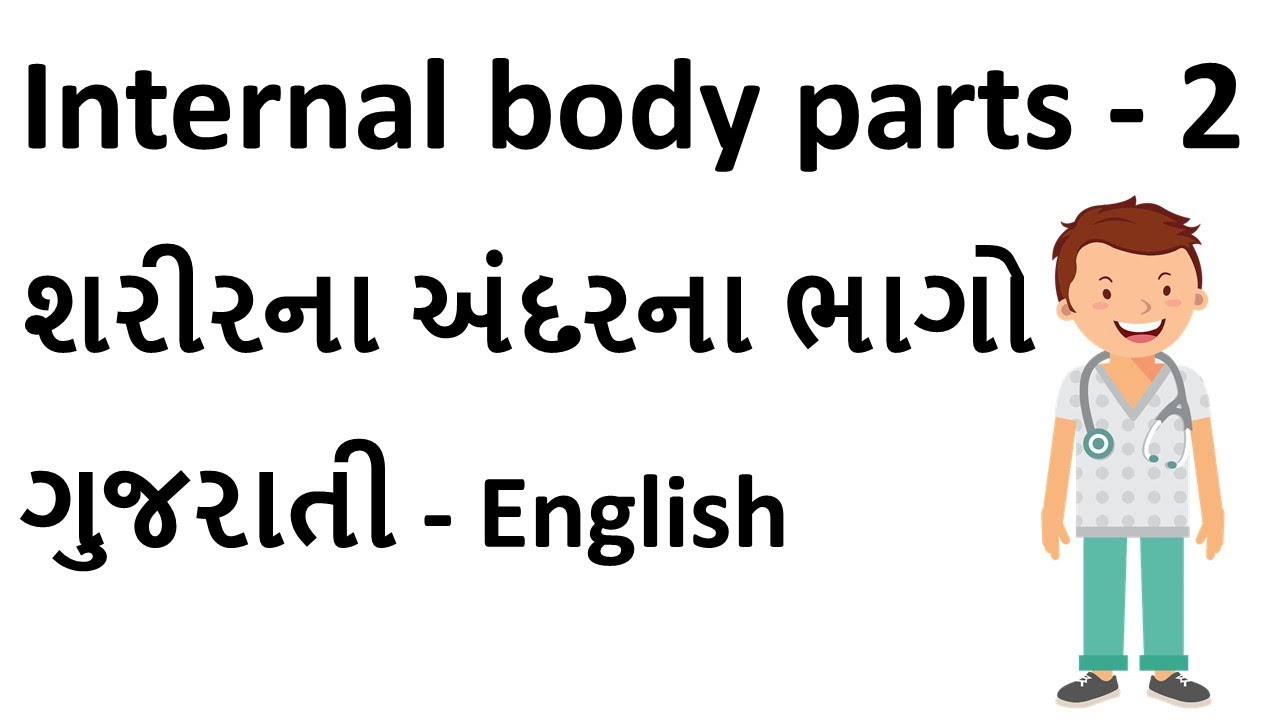 શરીરના અંદરના ભાગોના નામ | Internal body parts name in Gujarati and English| Internal organs name |