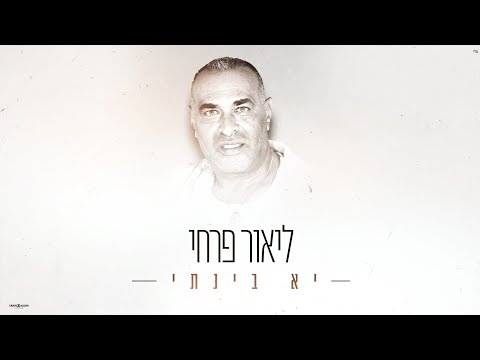 קליפי מילים