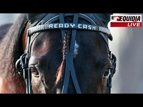 PRIX D'AMÉRIQUE 2011 : READY CASH