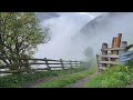 Best Song Nature Fog Whatsapp Status ️ ️