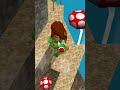 Ancient Super Mario 64 DS Secret