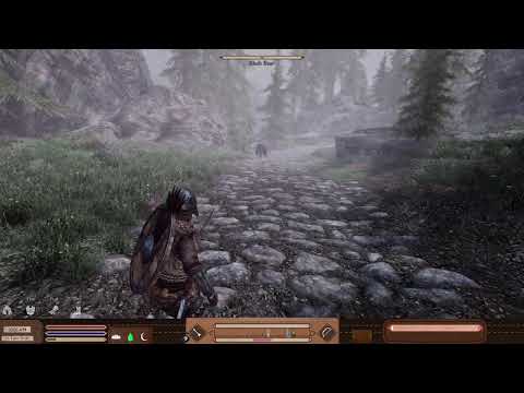 Skyrim Librum Modlist - No Commentary