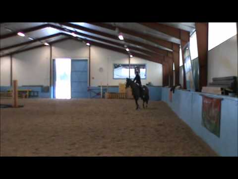 provridning "pialotta"