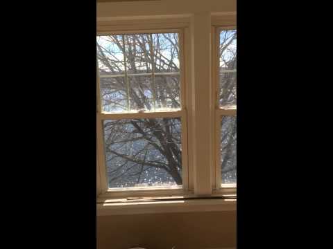 15 Groveridge Path, Shrewsbury