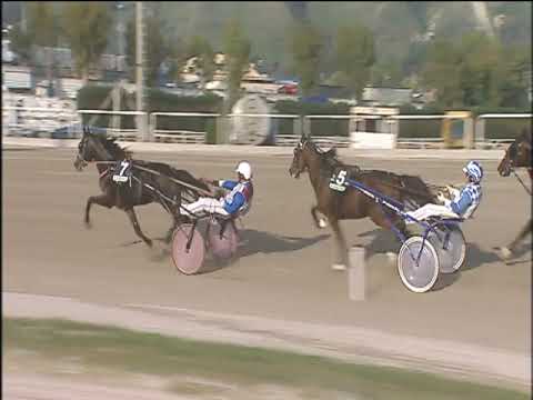 Trotto 29/10/2019 - 1ª corsa