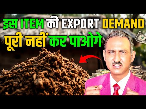 Cow dung business I how to export cow dung from india I cow dung cake I rajeevsaini