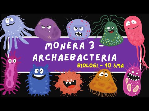 Monera part 3 (Archaebacteria) - Biologi kelas 10 SMA