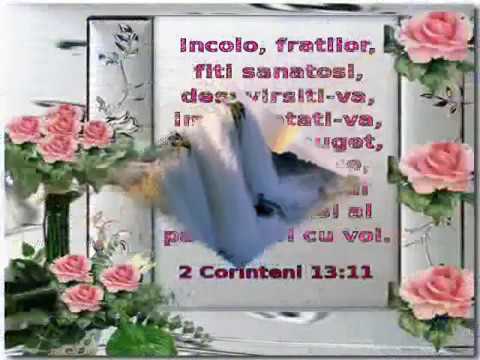 Cand te simti obosit-Tabita Ianc