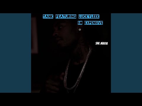 So Expensive (feat. LuckyLeek)