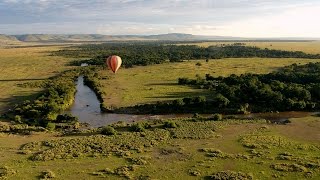 preview picture of video 'Elephants at Masai Mara'