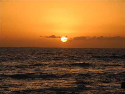 Jimmy Buffet   Mother Ocean