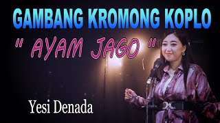 Download lagu AYAM JAGO - GAMBANG KROMONG KOPLO - YESI DENADA mp3 Download lagu AYAM JAGO - GAMBANG KROMONG KOPLO - YESI DENADA mp3