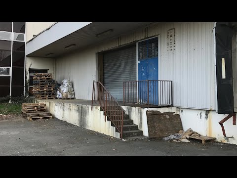 Place Presents: The Selfie Video, The Fall & The Agony