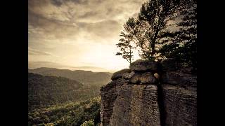 Jimmy Johnson's Stringband - Washington Quadrille
