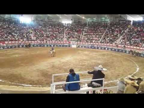 Jineteada de yegua(campeonato nacional charro ZACATECAS 2018)