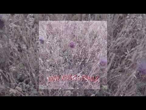 Dove Krioulo Riimax - Só Quero (Official Áudio)