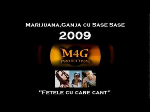 Dana Marijuana / 6ase 6ase / Gunja - Fetele cu care cant (Prod.by M4G Production)