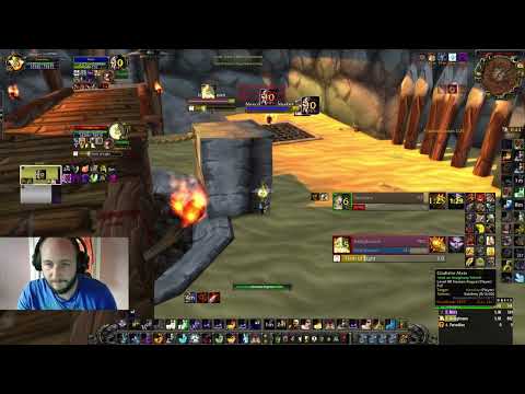 warrior paladin vs priest rogue world of warcraft