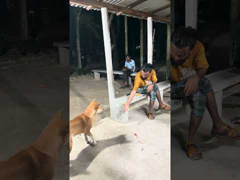Love you dog #funny #dog #comedy #foryou