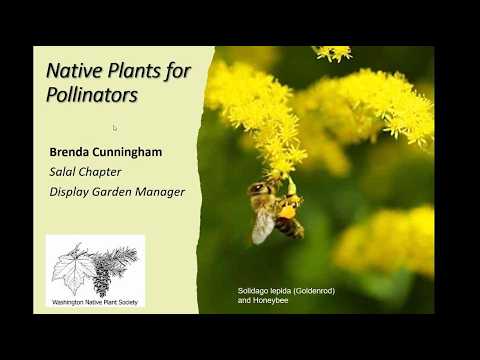 "Plants and Landscapes to Support Pollinators" by Brenda Cunningham, Salal Display Garden Manager