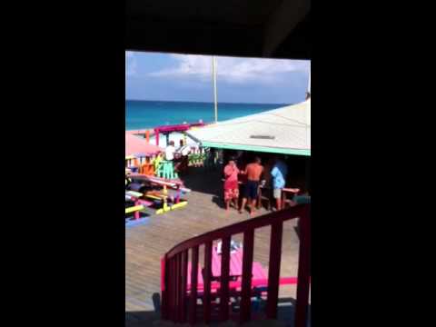 Nippers in march 2011