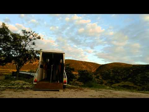 Arabian filly GA Mellvina by AJA Shakahkan...training