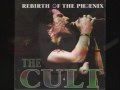 The Cult - "HOLY MOUNTAIN -ACOUSTIC" - NEW!!!!!