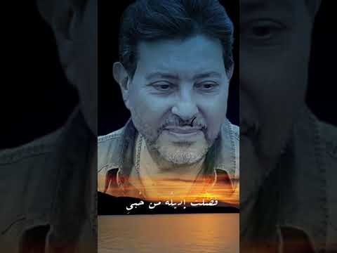 @ هاني شاكر : بكل العمر