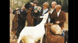 The Beach Boys - Don't Talk (Put Your Head On My Shoulder) (2016 Stereo Remix & Remaster)