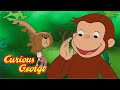 The Monkey And The Whistlepig Curious George Kids Cartoon Kids Movies