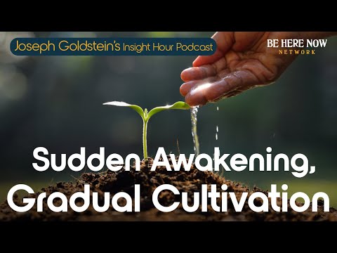 Joseph Goldstein: Sudden Awakening & Gradual Cultivation of Buddhist Practice – Insight Hour Ep.193