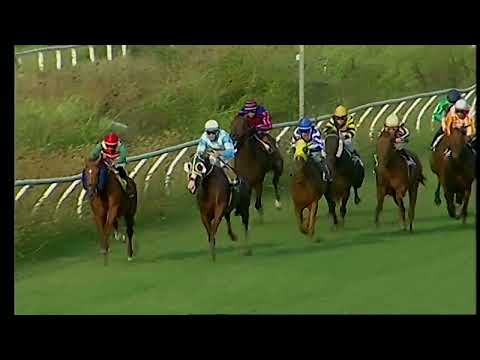 Napoli Galoppo 19/08/2022 - 4ª corsa