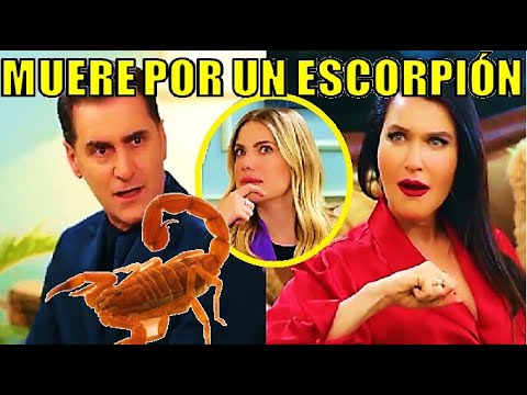 THIS WILL BE THE SAD DEATH OF ENGIN, ZEYNEP IS LEFT WITH HALF OF ENGIN'S WEALTH, HE IS BITED BY A