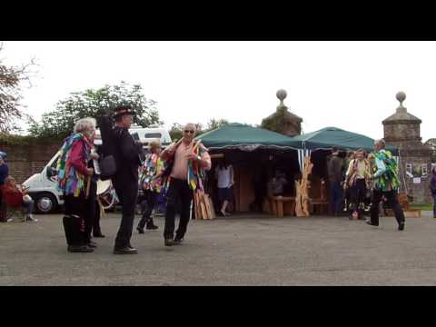 Mish Mash Morris, Wipeout, Bentley Wildfowl and Motor Museum Woodfair, 25/09/16