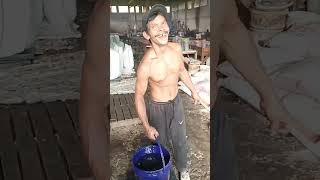 Download lagu Kuli Kekar Otot Skill Power mp3