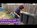 Exotische slang jaagt bewoners in Varsseveld stuipen op het lijf