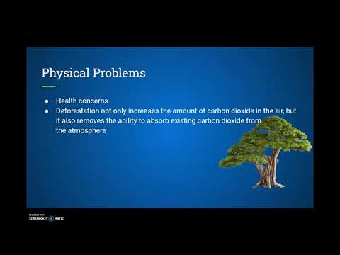 How is Deforestation a Social Problem?